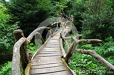 Mysterious spooky boardwalk forest entrance Stock Photo