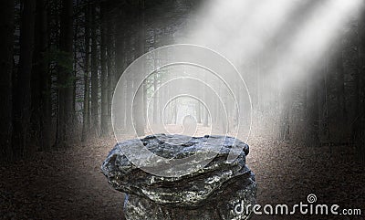 Mysterious Surreal Woods, Forest Background, Fantasy Stock Photo