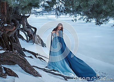 A mysterious wanderer in a luxurious dress and a blue cloak that flutters in the wind. On the background of a frozen Stock Photo