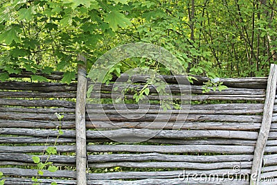 The mystery behind the wooden fence. Stock Photo