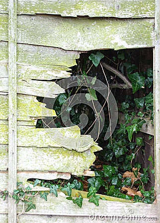 Mystery fence hole Stock Photo