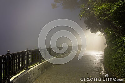 Mystery Fog in the dark park with way to light Stock Photo