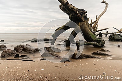 Mystic Echoes: Sea Rocks and the Enigmatic Fallen Tree, a Long Exposure Tale of Nature's Surreal Symphony Stock Photo