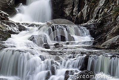 Mystic Falls, Yellowstone National Stock Photo