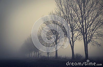 Mystic fantasy scene a foggy day Stock Photo