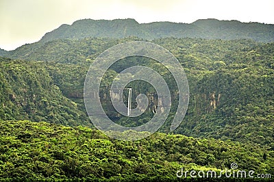 Mystic Jungle Stock Photo