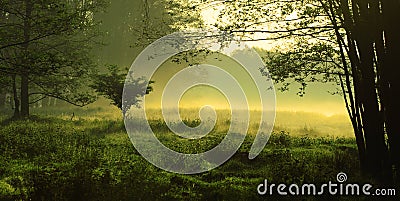 Mystic landscape Stock Photo