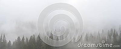 Mystic landscape with fog Stock Photo