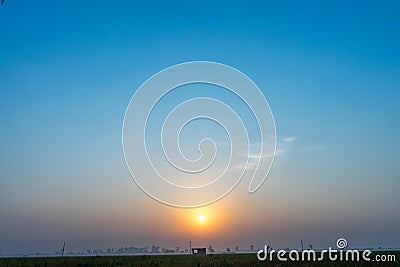 Mystic Morning Field Stock Photo