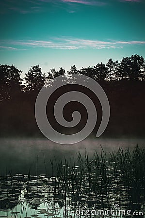 Mystic morning fog on forest lake. Stock Photo