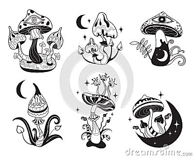 Mystic mushrooms. Celestial witchy mushroom with outline mystical elements, moon phase esoteric stars sakral gothic Vector Illustration