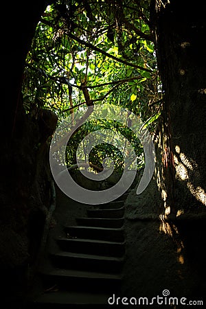 Mystic stairs in a jungle Stock Photo