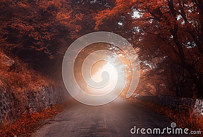 Mystical autumn forest with road in fog Stock Photo