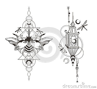 Mystical celestial beetle, moth and dragonfly and lantern clipart in black color, magic space insect and crescent moon Vector Illustration