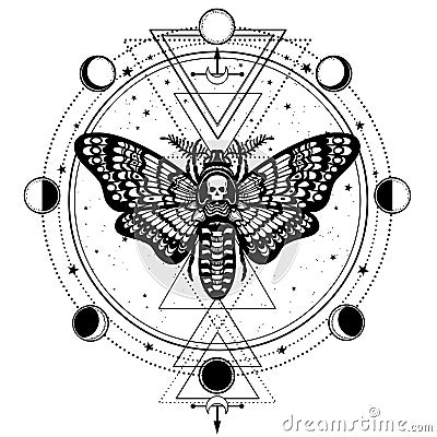 Mystical drawing: Moth Dead Head, circle of a phase of the moon. Vector Illustration