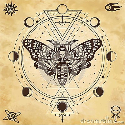 Mystical drawing: Moth Dead Head, circle of a phase of the moon. Sacred geometry. Vector Illustration