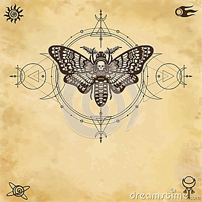 Mystical drawing: moth Dead Head, sacred geometry, moon phases, energy circles. Vector Illustration