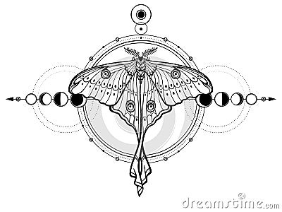 Mystical drawing: tropical butterfly, sacred geometry, moon phases, energy circles. Vector Illustration