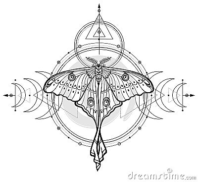 Mystical drawing: tropical butterfly, sacred geometry, moon phases, energy circles. Vector Illustration