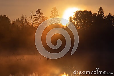 Mystical fog on a forest lake in the rays of the golden rising sun. A dark, realistic image Stock Photo