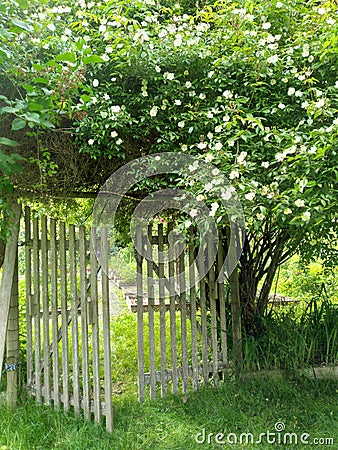 Mystical garden entrance Stock Photo