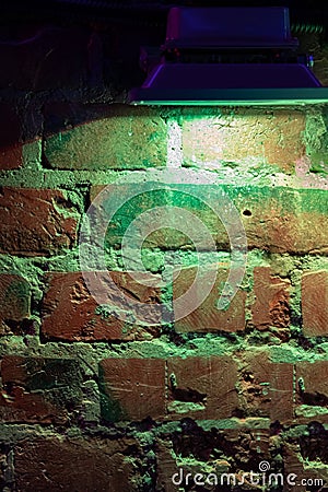 Mystical illumination of the brick wall in the old basement of the castle. Stock Photo