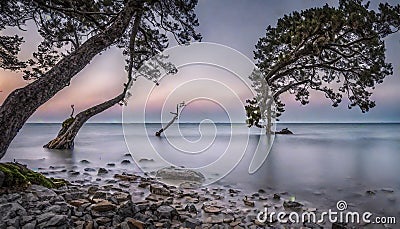 Mystical landscape of the Baltic . Estonia Stock Photo