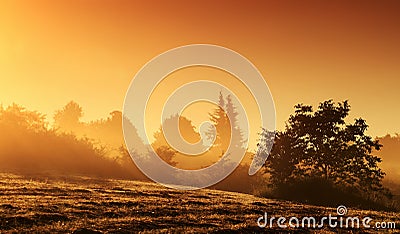 Mystical landscape at sunrise Stock Photo