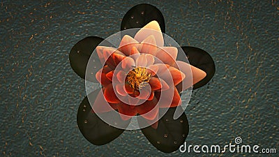 A mystical lotus blossom 3d rendering Stock Photo