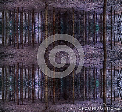 Mystical magic fall symmetrical magical forest scene Stock Photo