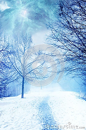 Mystical magic winter landscape with snow and path Stock Photo