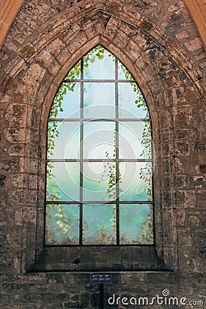 Mystical medieval church window with growing plants on the other side in Orval Abbey Stock Photo