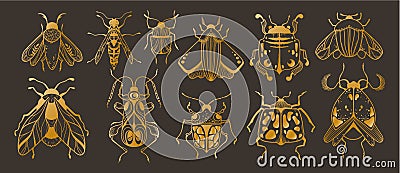 Mystical ornamental beetle, bug clipart bundle in golden foil texture, magic golden colored insects silhouettes in Vector Illustration