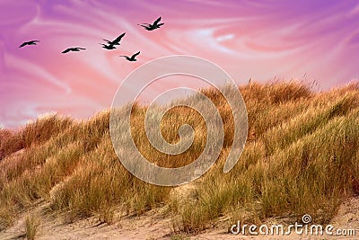 Mystical Sand Dune Stock Photo