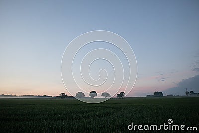 Mystical Serenity: Foggy Summer Morning in the Countryside Stock Photo