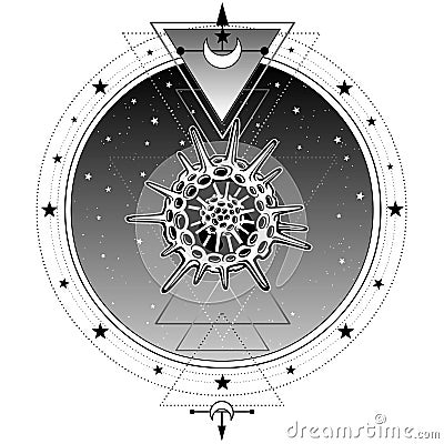 Mystical symbols of origin of life radiolaria. Sacred Vector Illustration