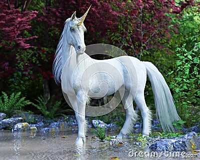 Mythical white Unicorn posing in an enchanted forest . Stock Photo