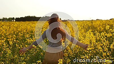 Mädchen lässt die Arme laufen, die durch ein Feld slowmo ausgestreckt werden stock video Mädchen lässt die Arme laufen, die durch ein Feld slowmo ausgestreckt werden stock video