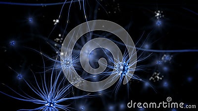 Móżdżkowi bodzowie Neuronu system Ludzka anatomia Móżdżkowa praca przelewanie pulsy i wywołująca informacja Móżdżkowi bodzowie Neuronu system Ludzka anatomia Móżdżkowa praca przelewanie pulsy i wywołująca informacja