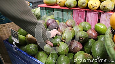 Młoda Kobieta Wybiera Avocados w sklepie spożywczym Weganinu Zero dziewczyny kupienia Jałowe owoc i Veggies w Organicznie superma zbiory wideo Młoda Kobieta Wybiera Avocados w sklepie spożywczym Weganinu Zero dziewczyny kupienia Jałowe owoc i Veggies w Organicznie superma zbiory wideo