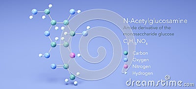 n-acetylglucosamine, molecular structures, monosaccharide glucose, 3d model, Structural Chemical Formula and Atoms with Color Stock Photo