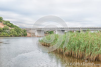 N2 highway bridge over the Sundays River Stock Photo