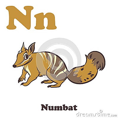 N for Numbat Vector Illustration