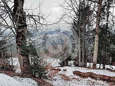 Mountain view in Carpathians, Bukovel ski resort, Ukraine Stock Photo