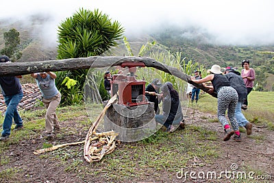 Group of tourists squeeze sugarcane juice Editorial Stock Photo