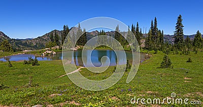 Naches Peak Loop Trail in Mt Rainier NP Stock Photo