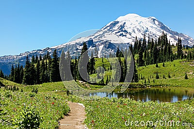 Naches Peak trail, flowering alpine meadows & Mount Rainier, WA Stock Photo