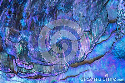 Nacre - Mother of Pearl, inside of a shell Stock Photo