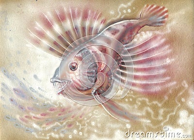 Nacreous small fish Stock Photo