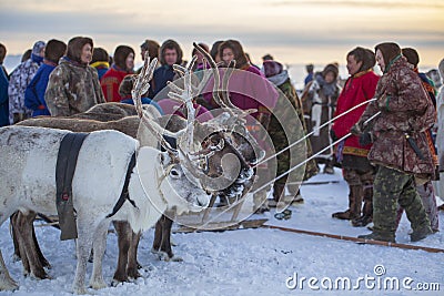 Nadym, Russia - February 23, 2020: Far North, Yamal Peninsula, Reindeer Herder`s Day, local residents in national clothes of Editorial Stock Photo